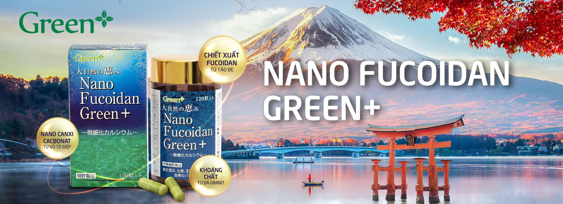 nanofucoidan